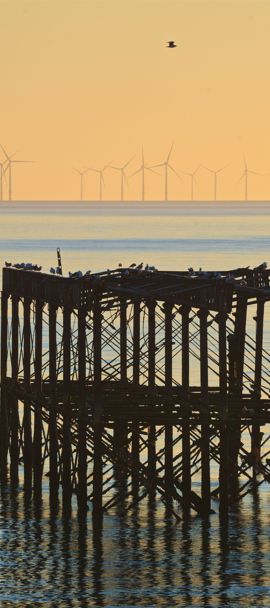 A boat sailing past Brighton peer at sunset