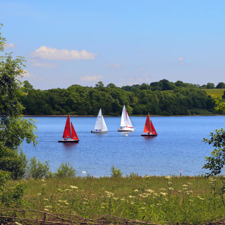 Dinghies visible through greenery in summer