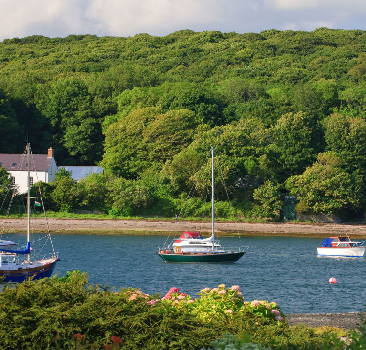 Boat sailing on the Milford Haven trail