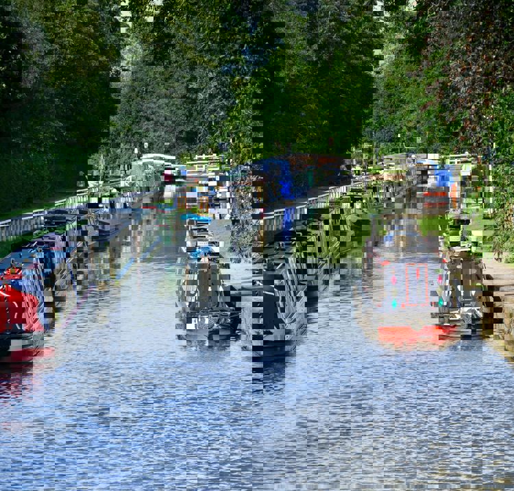Stationary narrowboats anchored along a river